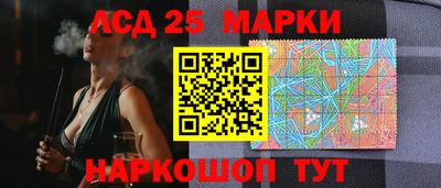 бошки Можга
