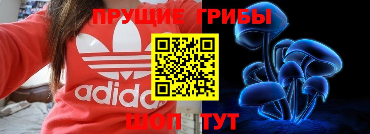 Галлюциногенные грибы Psilocybine cubensis  Вход с VPN  Усинск 